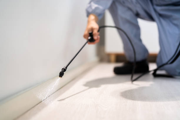Licensed Termite Control service in Prestonsburg, KY - Nex Pest Control