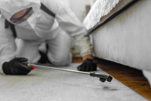 Professional Termite Control technician working in Prestonsburg, KY