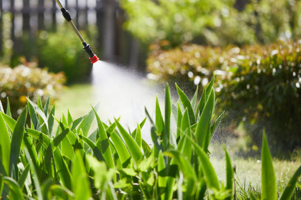 24/7 Emergency Termite Control experts in Prestonsburg, KY