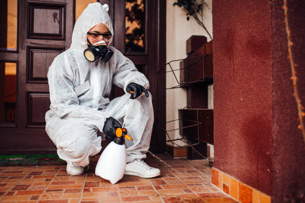 Reliable Termite Control contractor in Prestonsburg, KY by Nex Pest Control