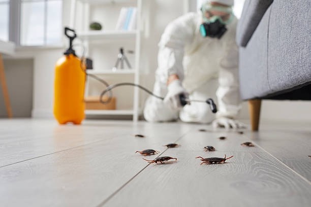 Trusted Termite Control service in Prestonsburg, KY - Nex Pest Control