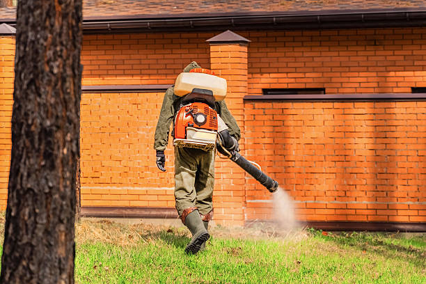 Trusted Cockroach Control service in Prestonsburg, KY - Nex Pest Control